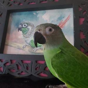 Meet your Posher, Jeff